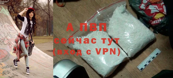 СК Магадан