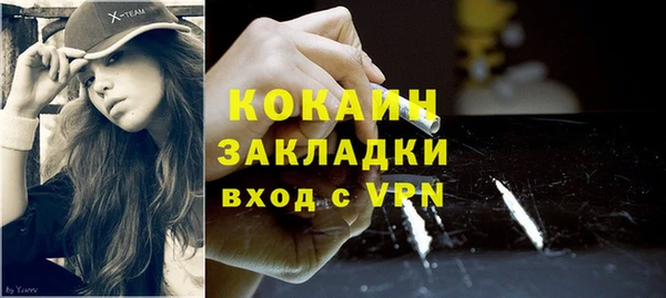 гидра Магас
