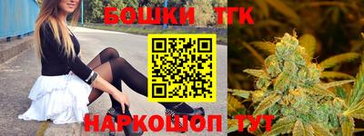 гидра Славгород