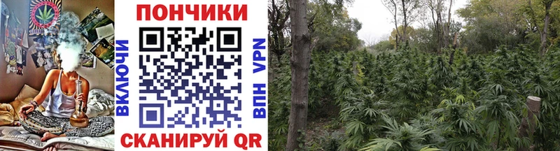 закладка  Урай  Бошки марихуана план 